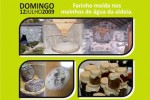 Voltamos aos cogumelos :: Mira