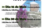 Visita aos Moinhos de Ansião :: Câmara Municipal de Ansião