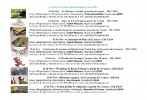  Workshops para Famílias 